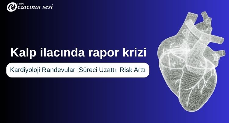 Rapor Krizi
